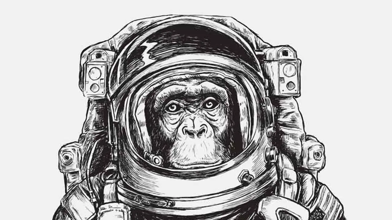 organik-arama-nedir Organic Search Results Guide for Beginners